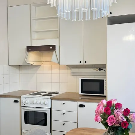 Bright & Spacious Retreat Near Santa Claus Village -free Parking Lejlighed *