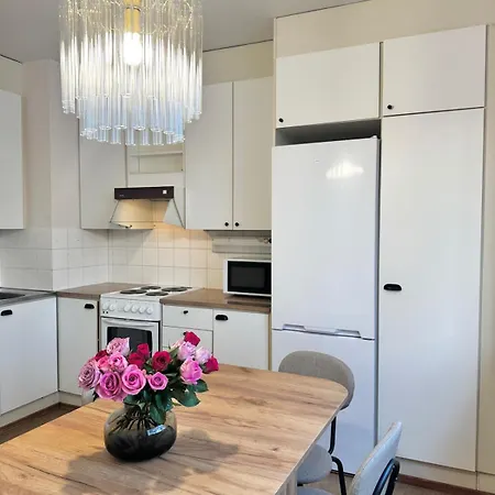 Bright & Spacious Retreat Near Santa Claus Village -free Parking * Rovaniemi