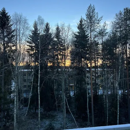 Bright & Spacious Retreat Near Santa Claus Village -free Parking *