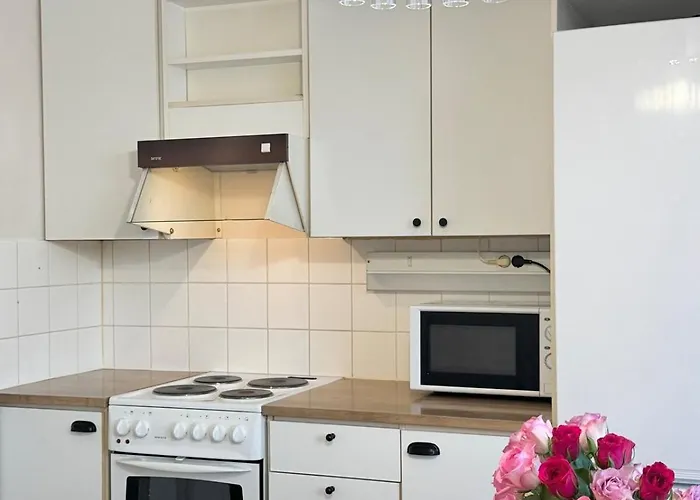 Bright & Spacious Retreat Near Santa Claus Village -free Parking Διαμέρισμα *