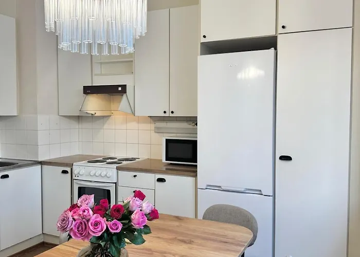 Bright & Spacious Retreat Near Santa Claus Village -free Parking * Rovaniemi