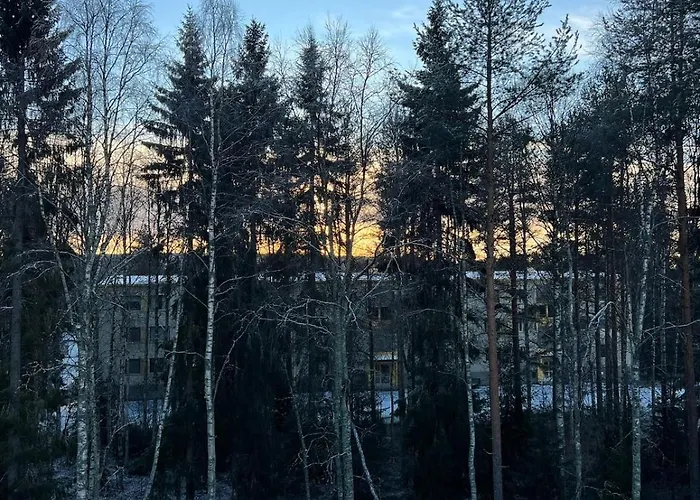 Bright & Spacious Retreat Near Santa Claus Village -free Parking *